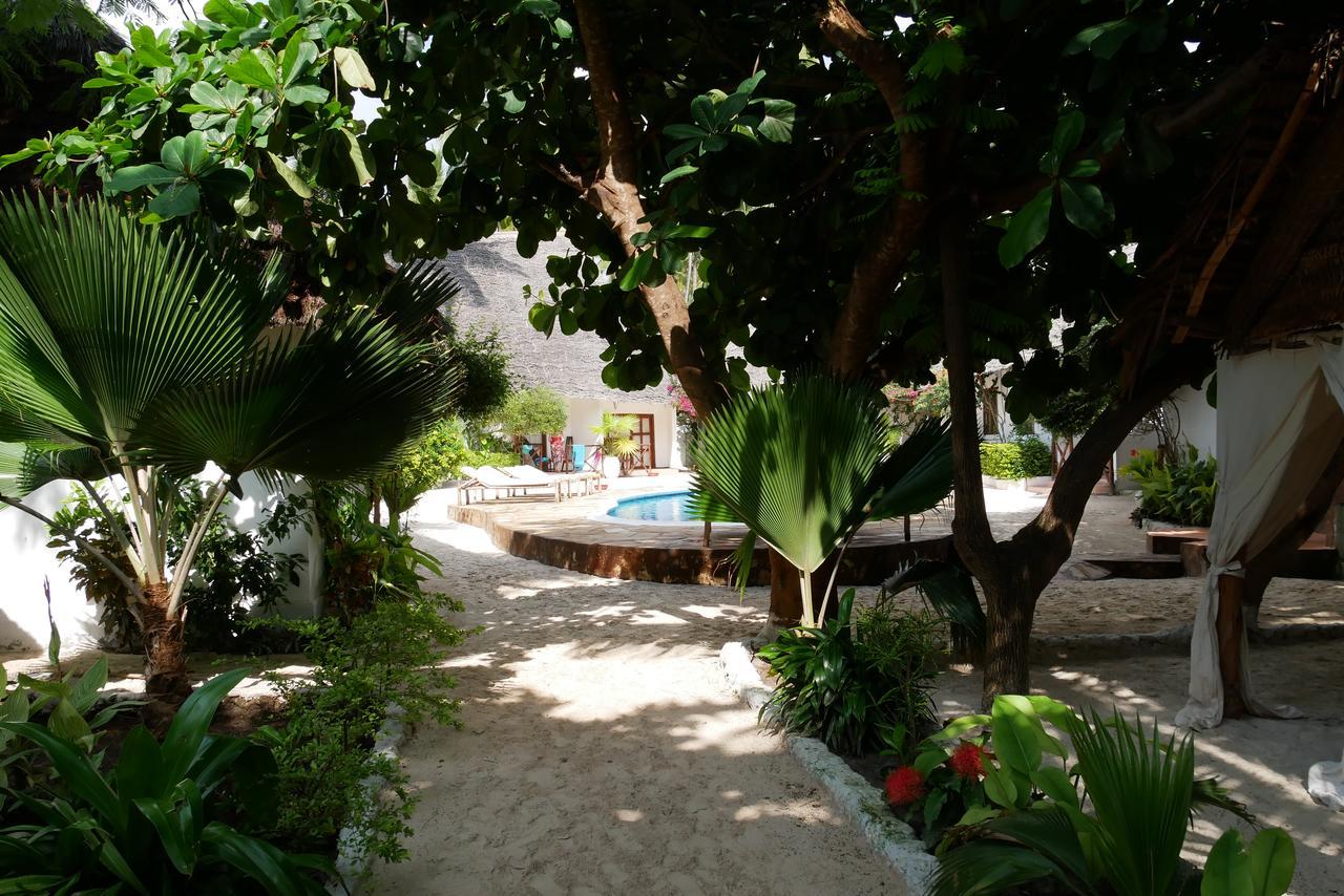 Sea View Lodge Boutique Hotel Jambiani  Exterior photo