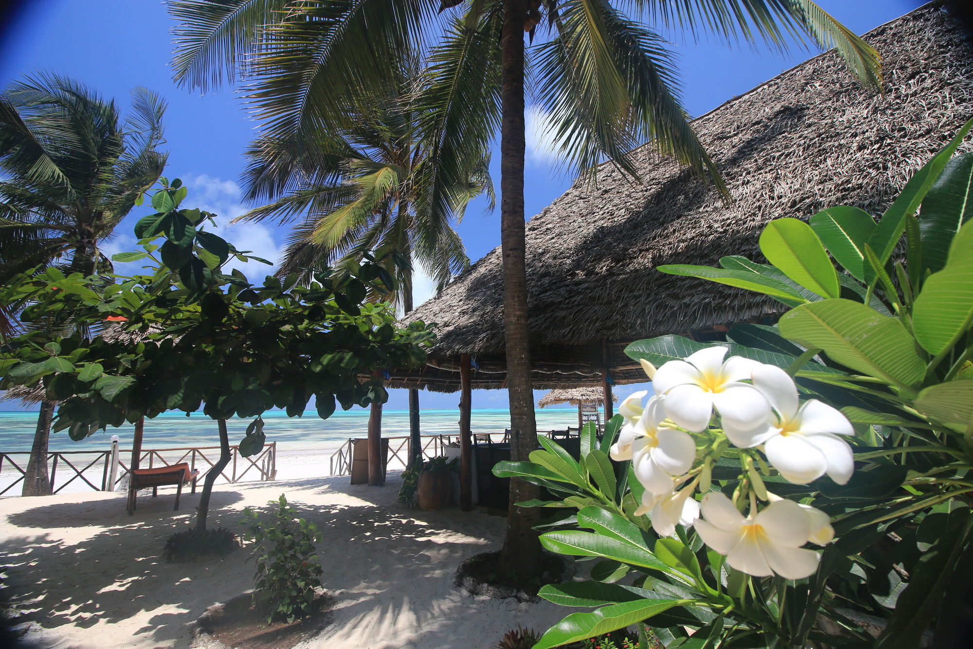Sea View Lodge Boutique Hotel Jambiani  Exterior photo